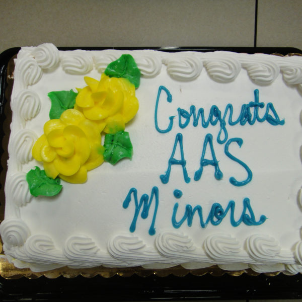 2015_AAS_minors_cake